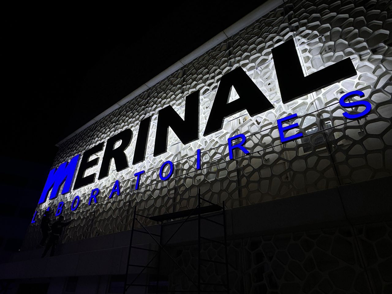Merinal - hero overview